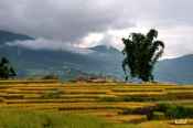  , http://www.hanoimotortour.com