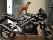  , Funny Picture
